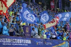 泰山队外援离队传闻引发投资撤资与股权变动